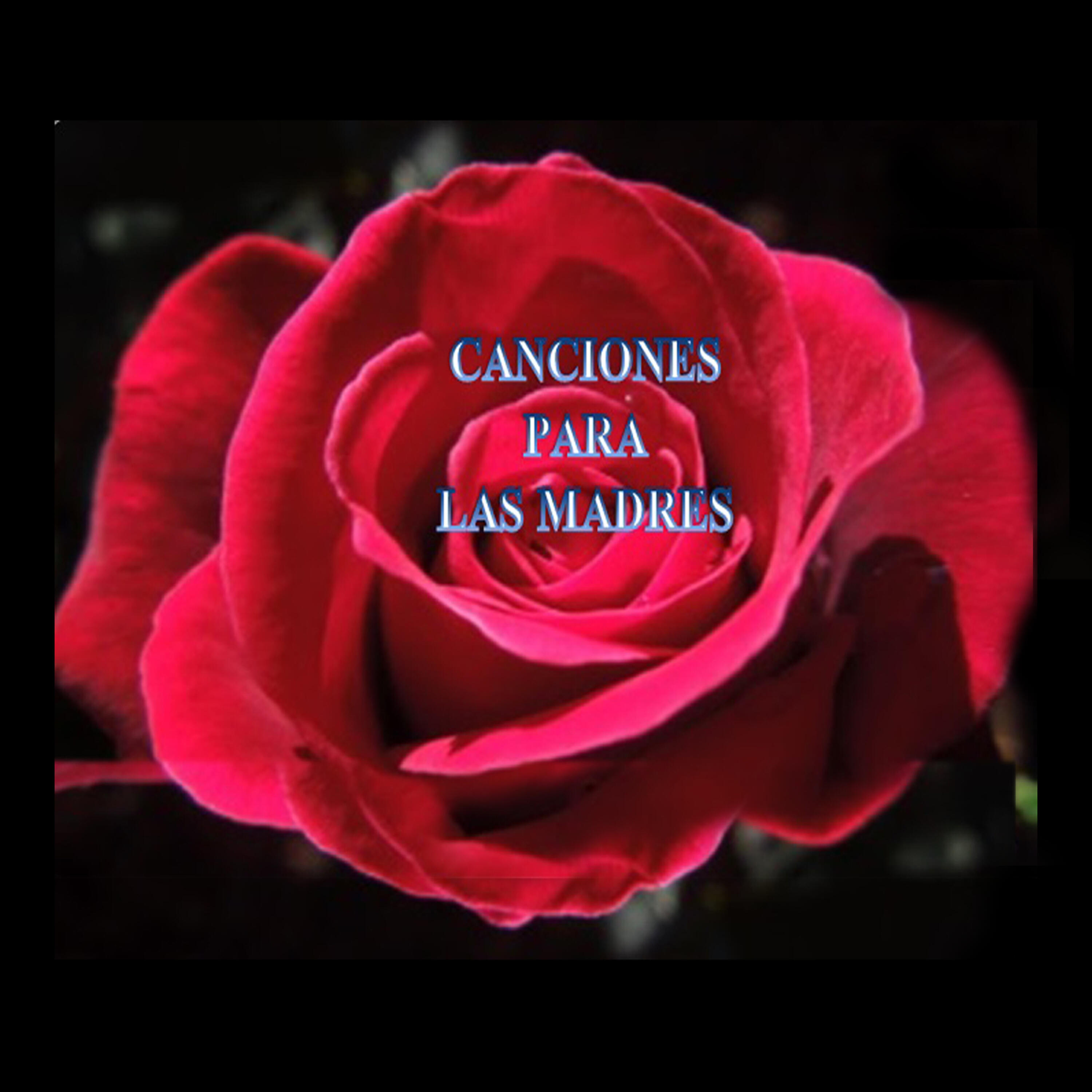 Трек Lagrimas de Mi Madre
