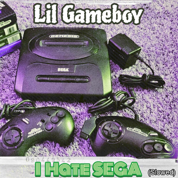 Релиз I Hate Sega (Slowed)