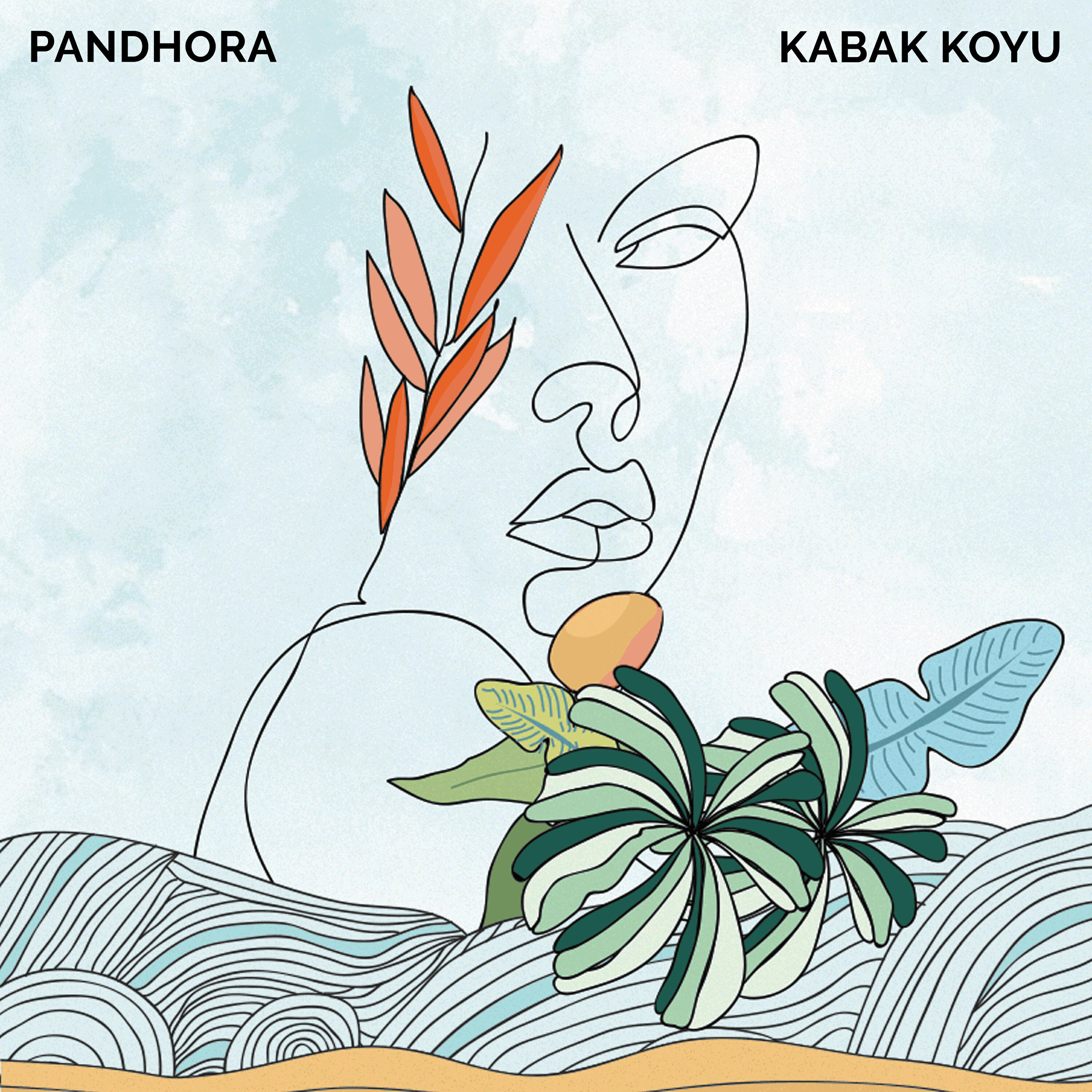 Релиз Kabak Koyu
