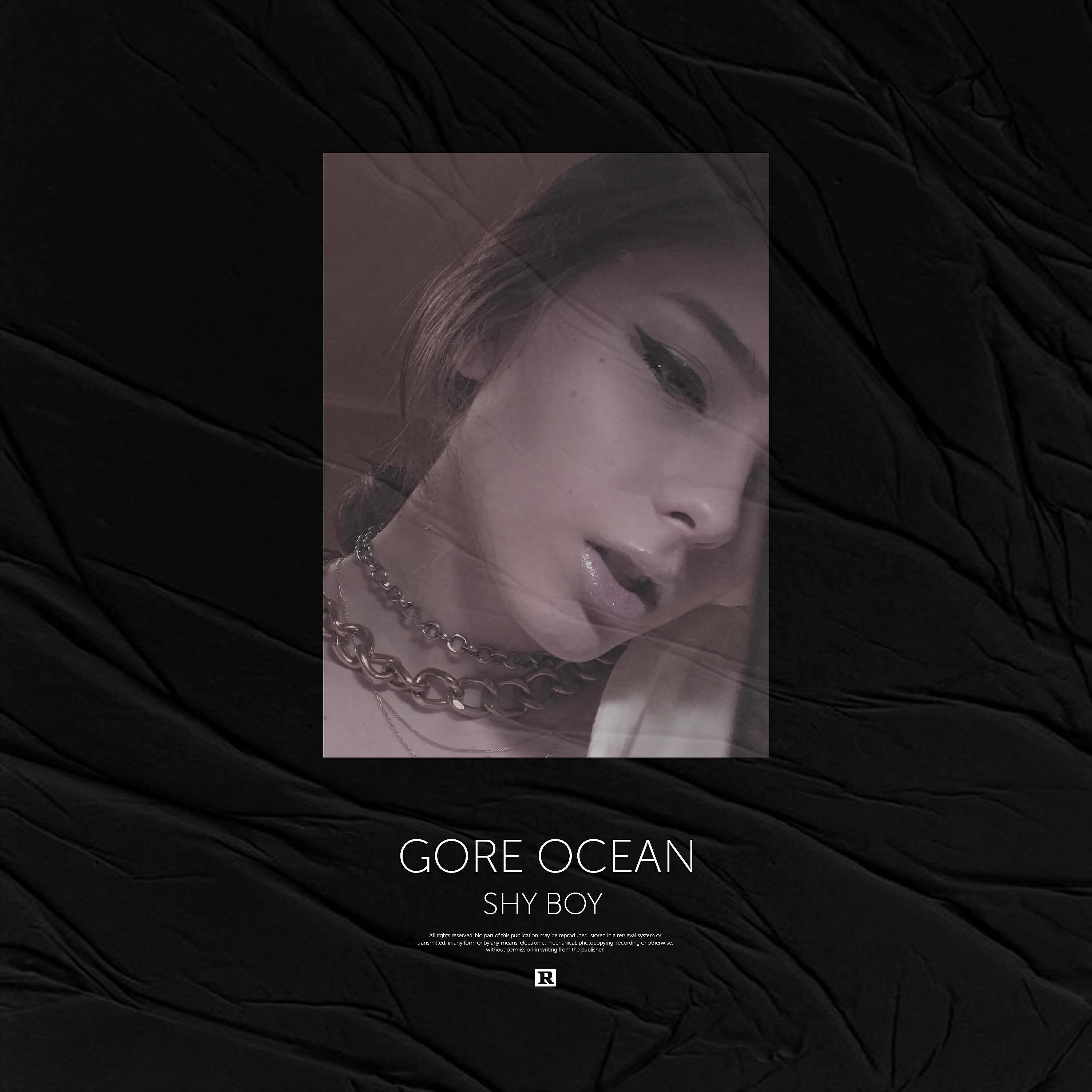 Gore Ocean