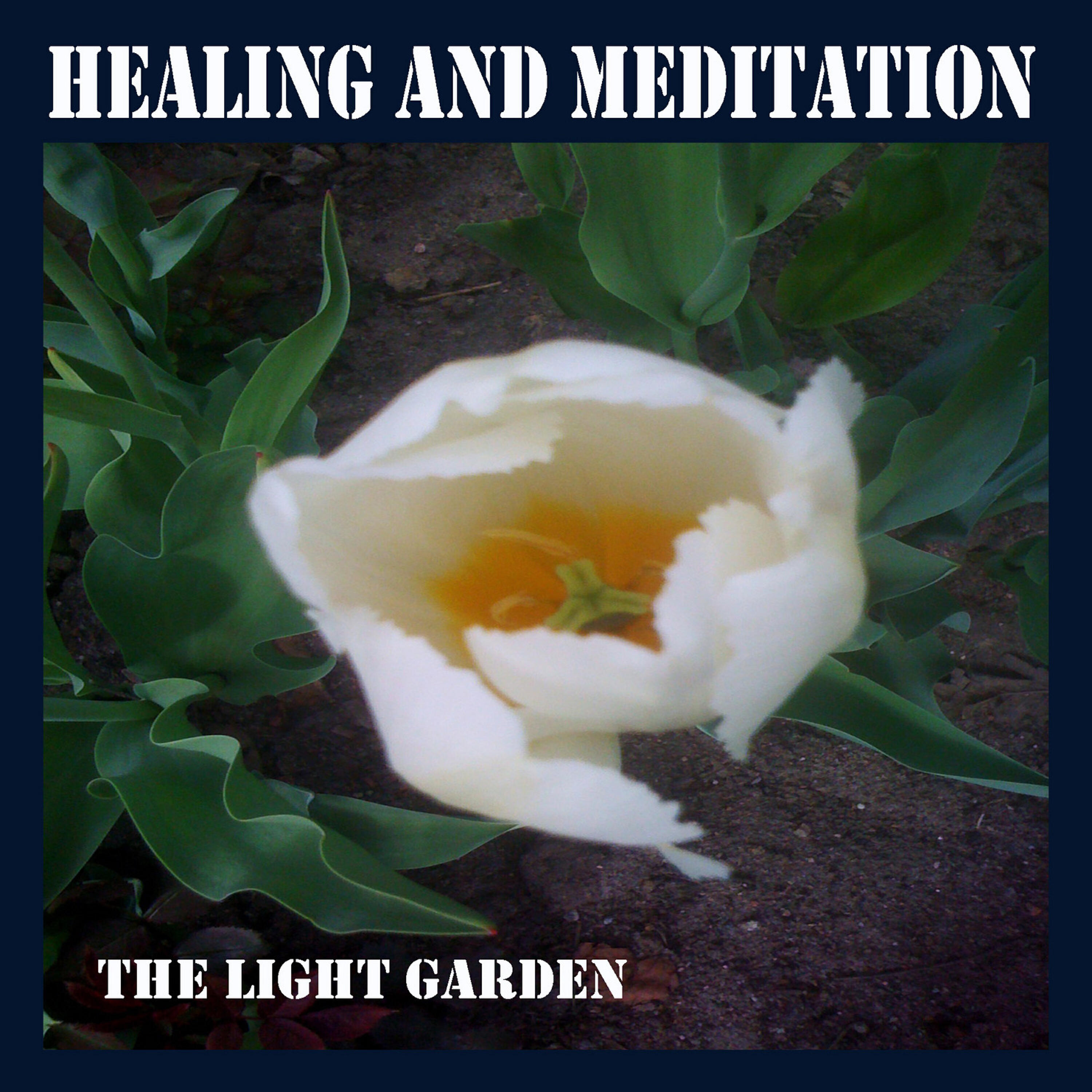 Релиз Healing and Meditation