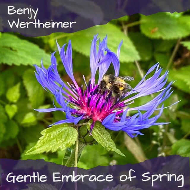 Релиз Gentle Embrace of Spring