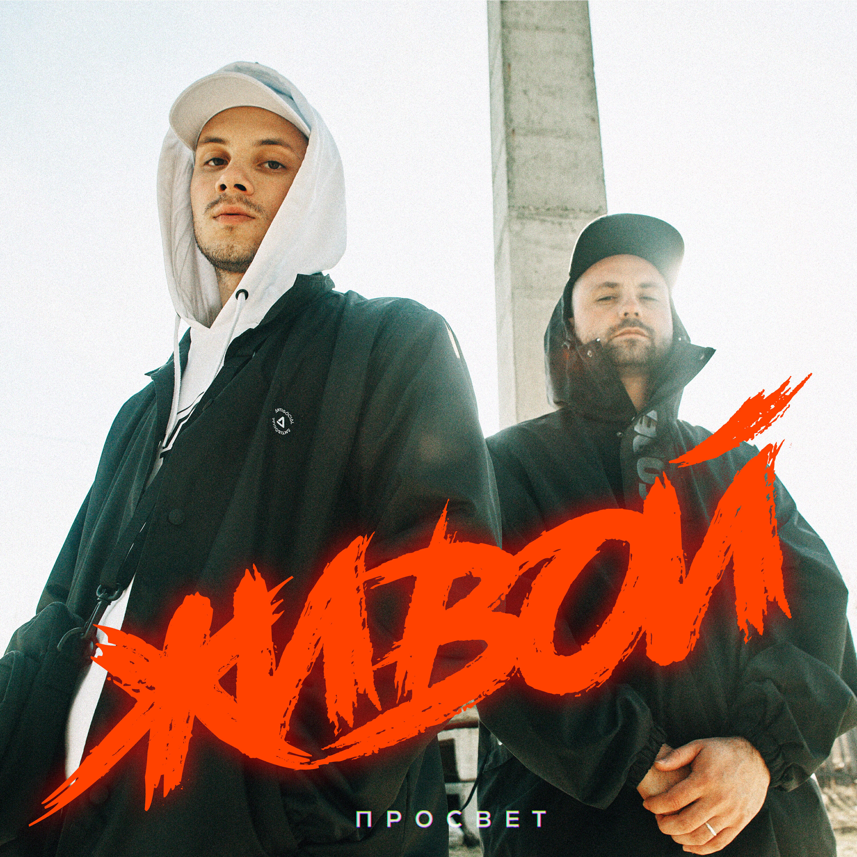 Релиз Живой