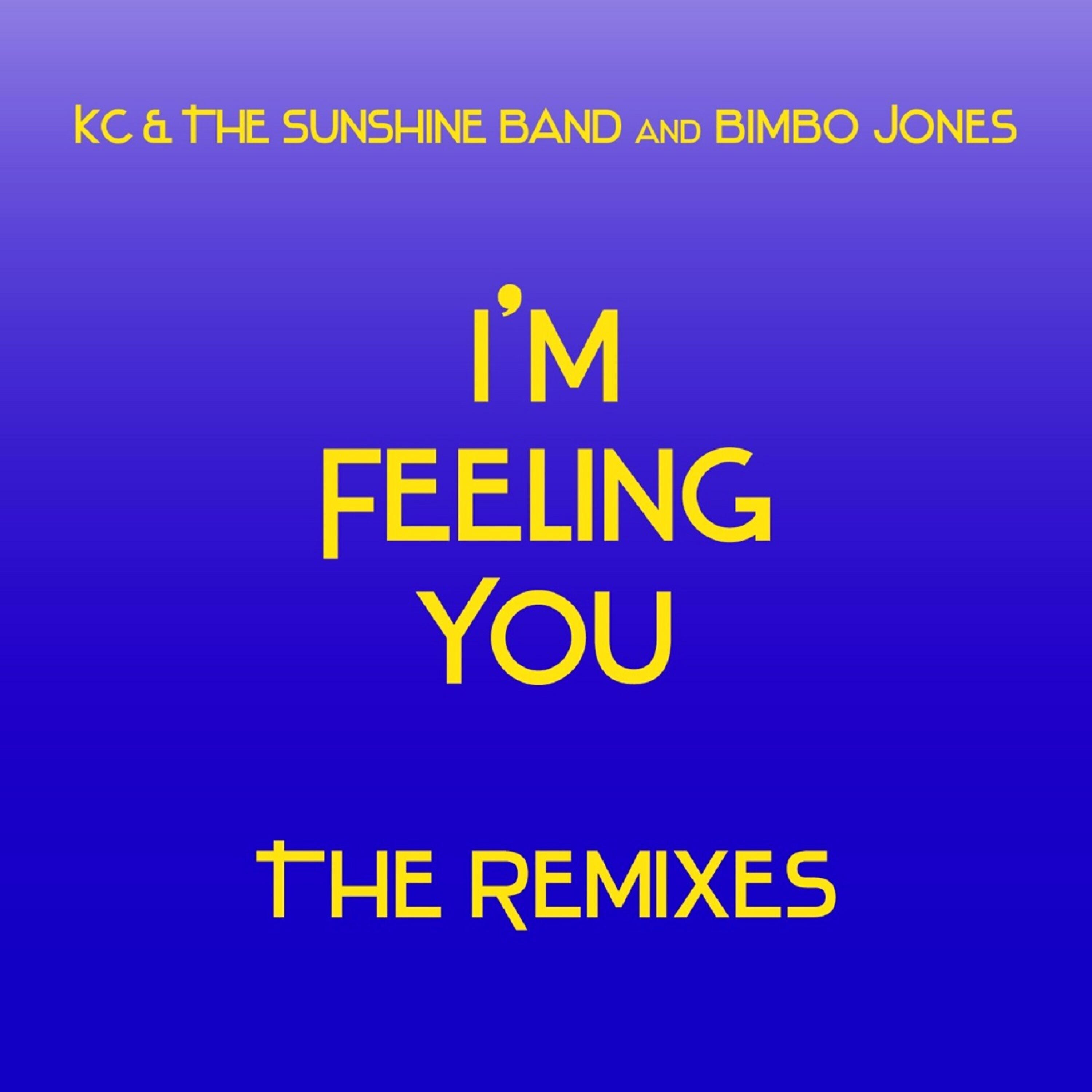 Релиз I'm Feeling You - The Remixes