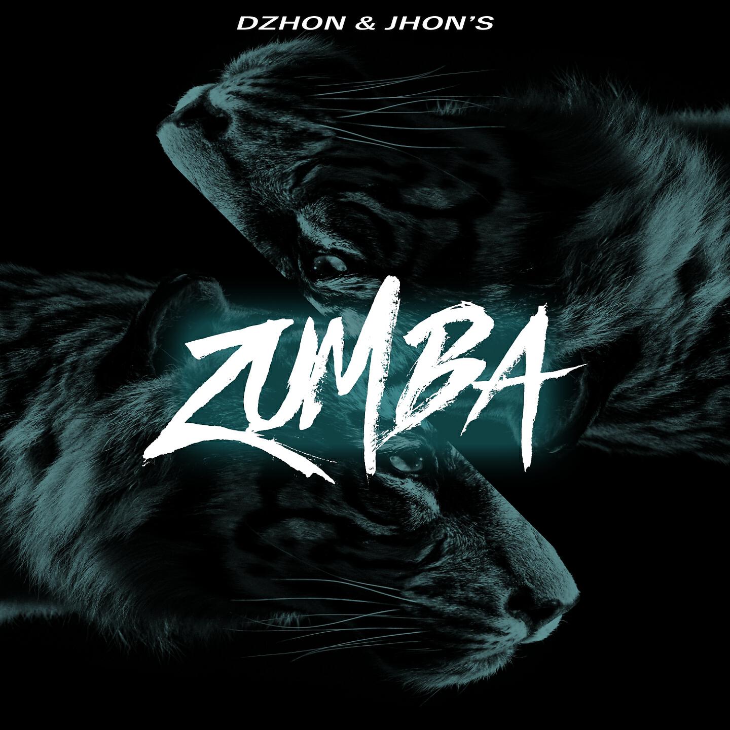 Релиз Zumba