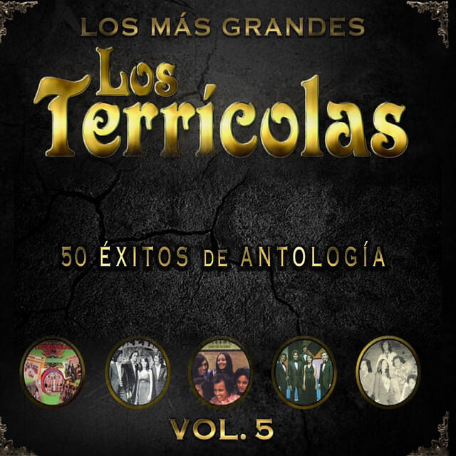 Релиз 50 Éxitos de Antología, Vol. 5