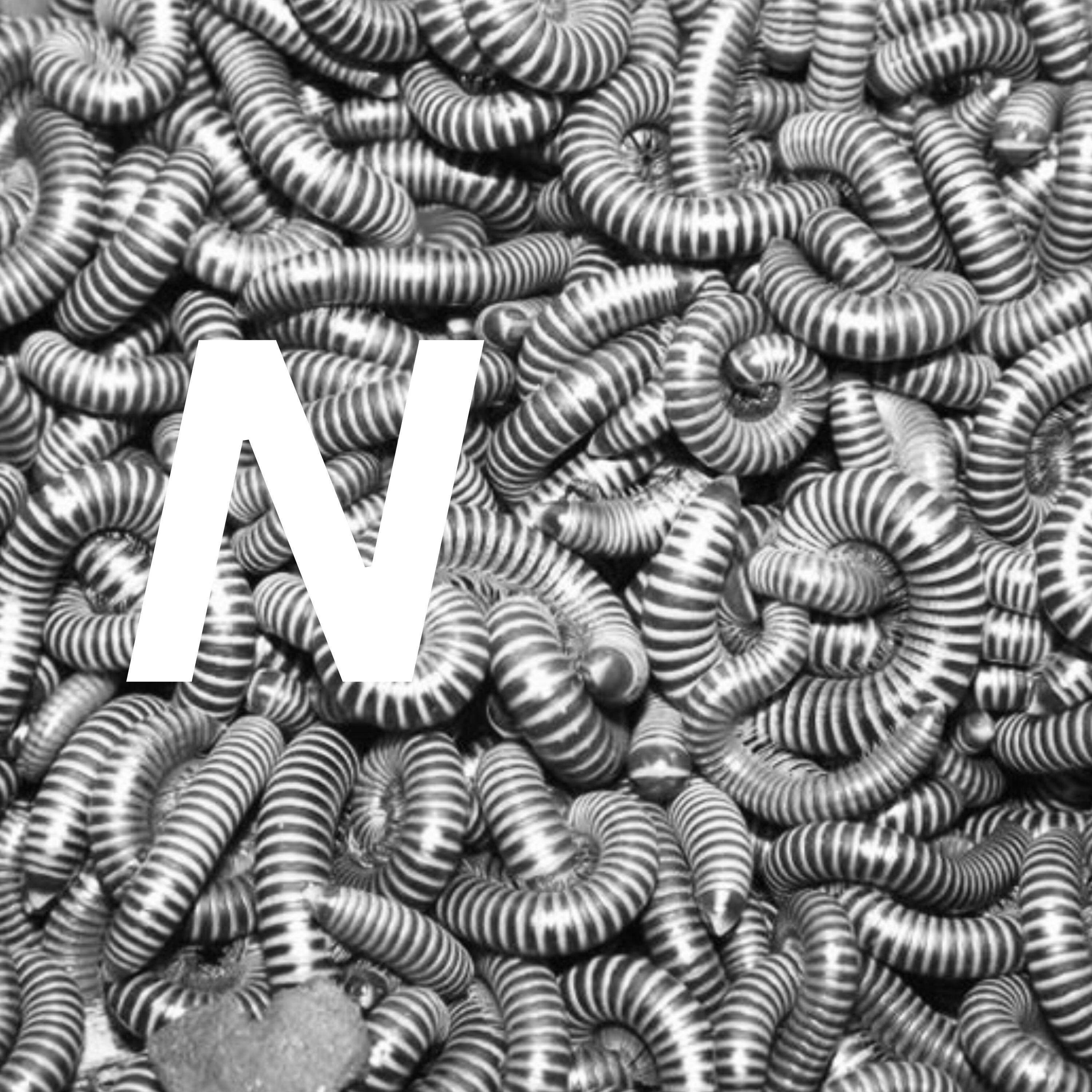 Релиз n
