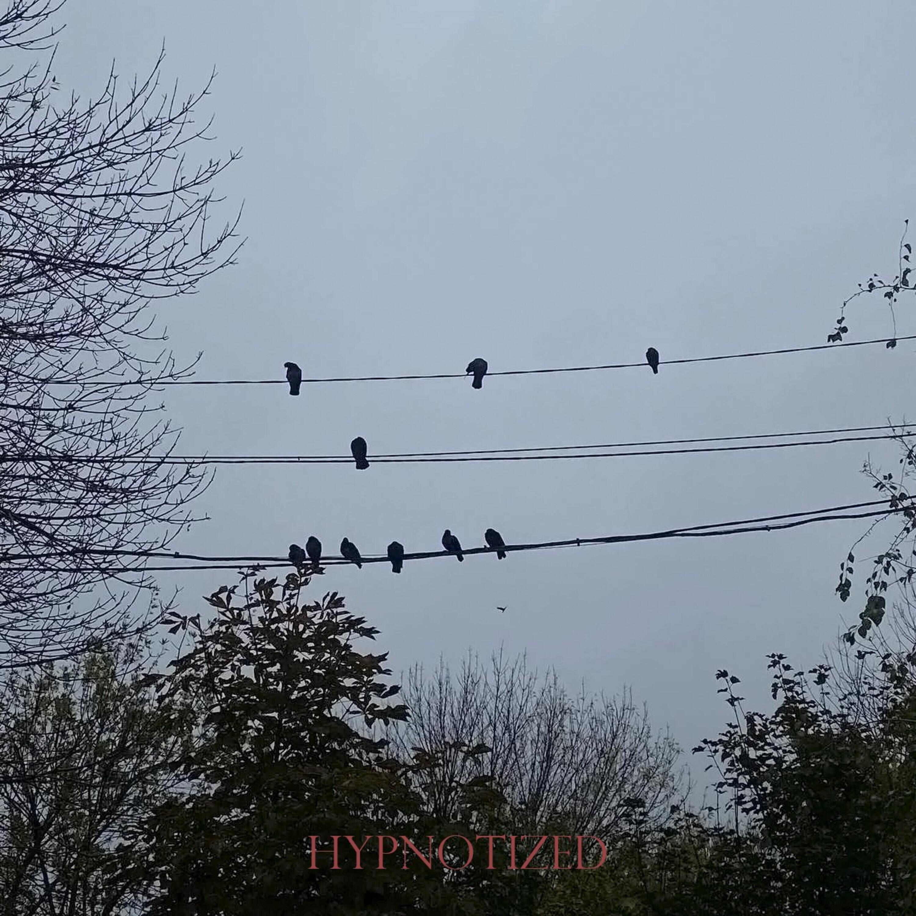 Релиз Hypnotized