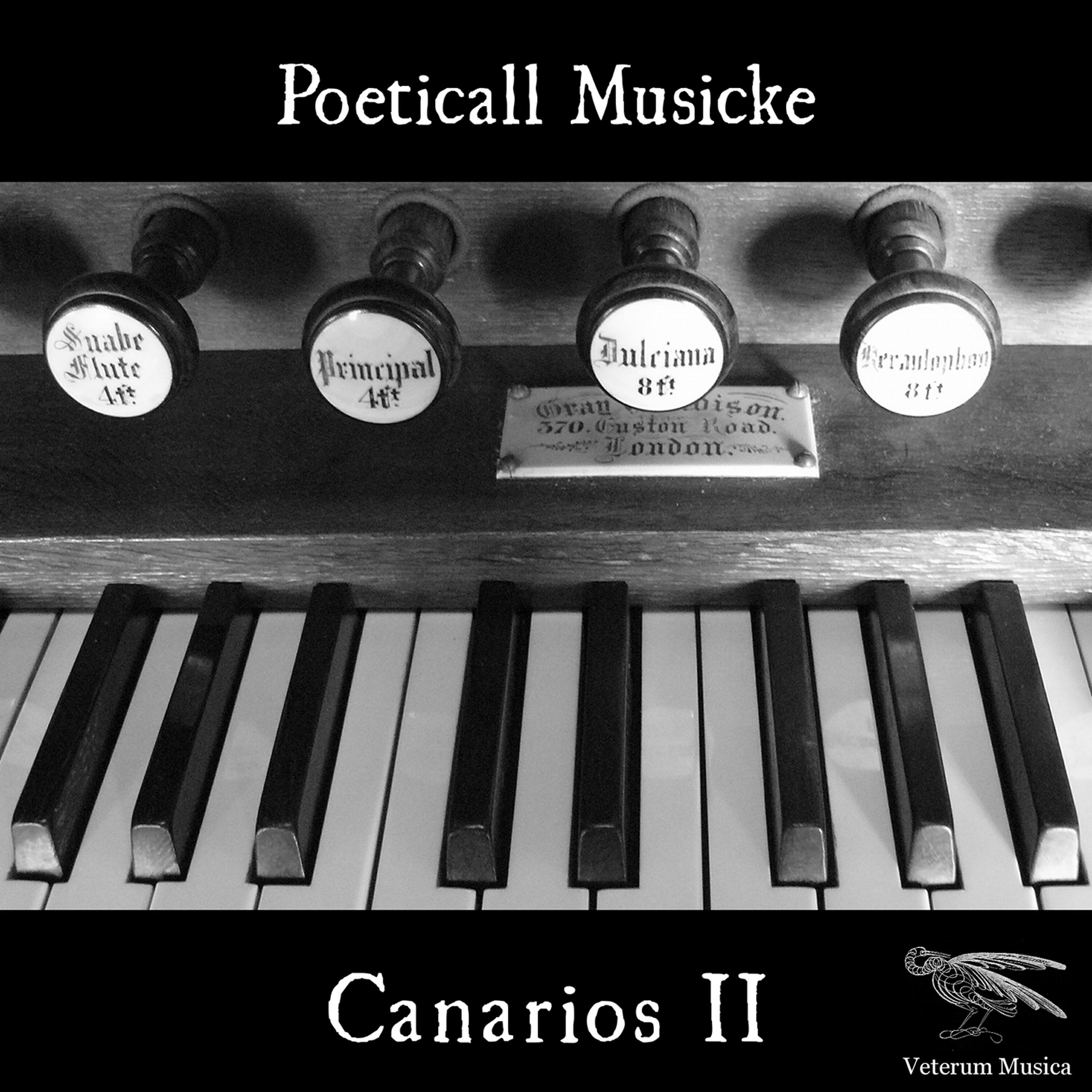 Релиз Canarios II