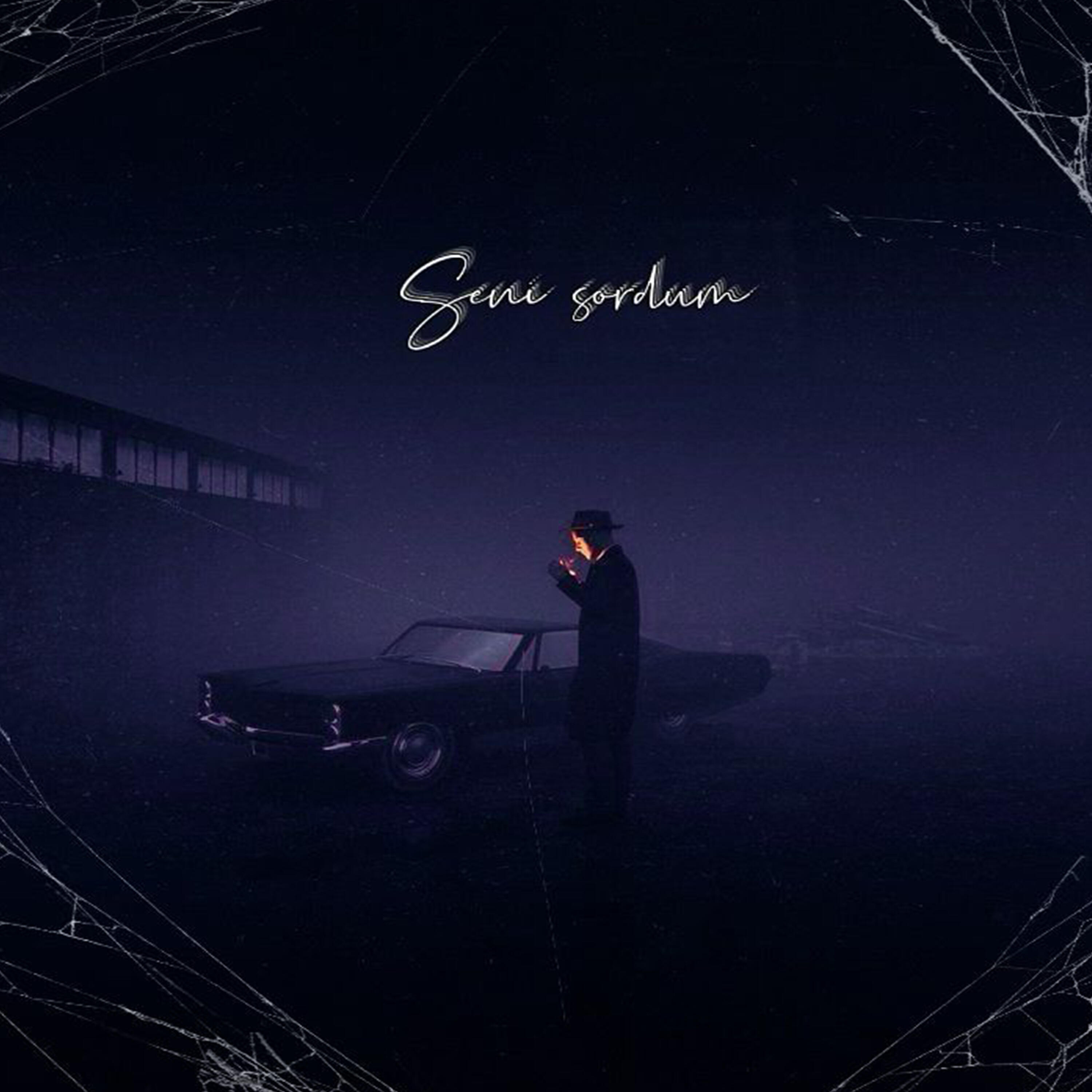 Релиз Seni Sordum