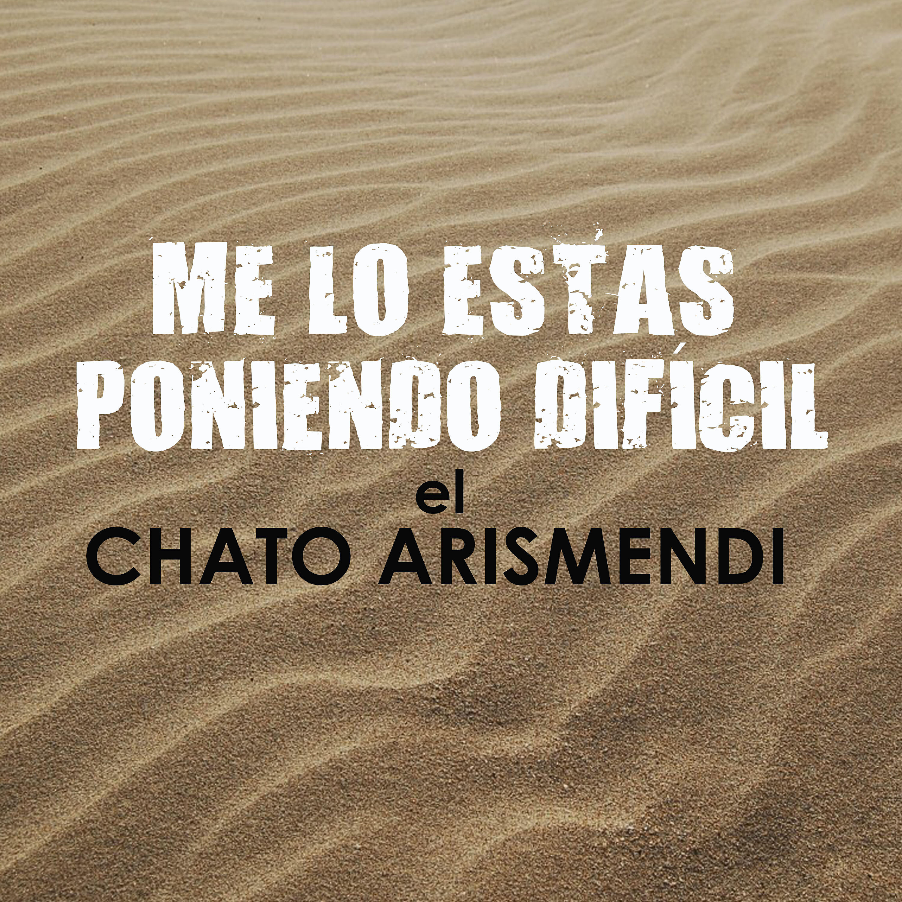 El Chato Arismendi