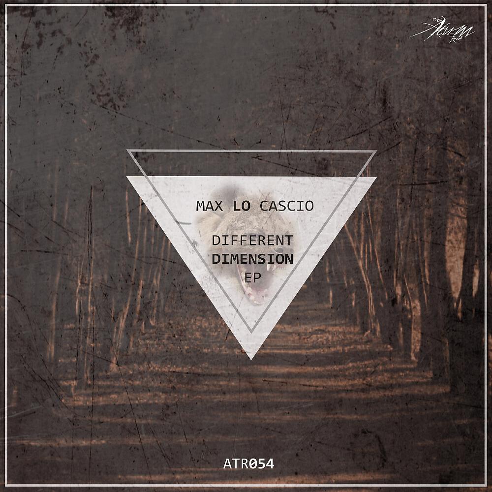 Релиз Different Dimension