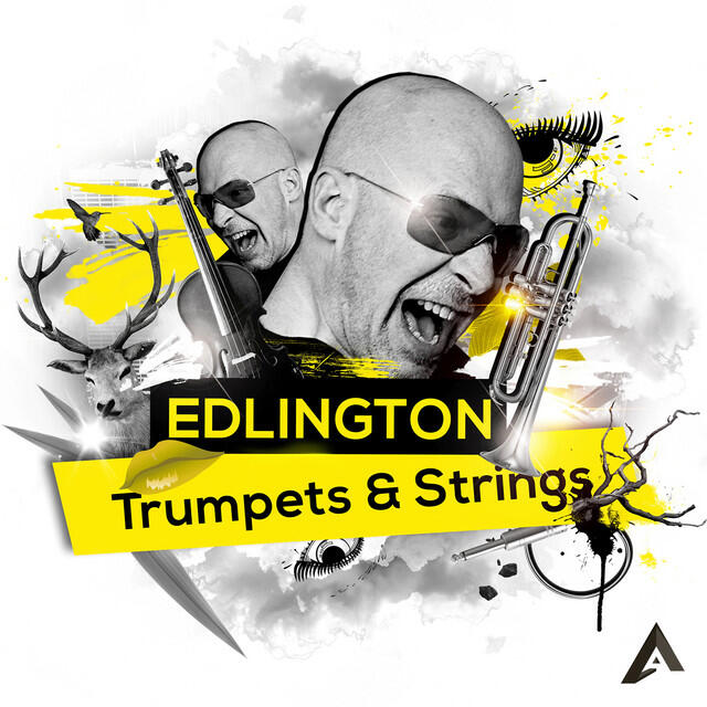 Релиз Trumpets & Strings