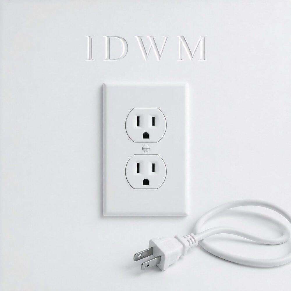 Релиз IDWM