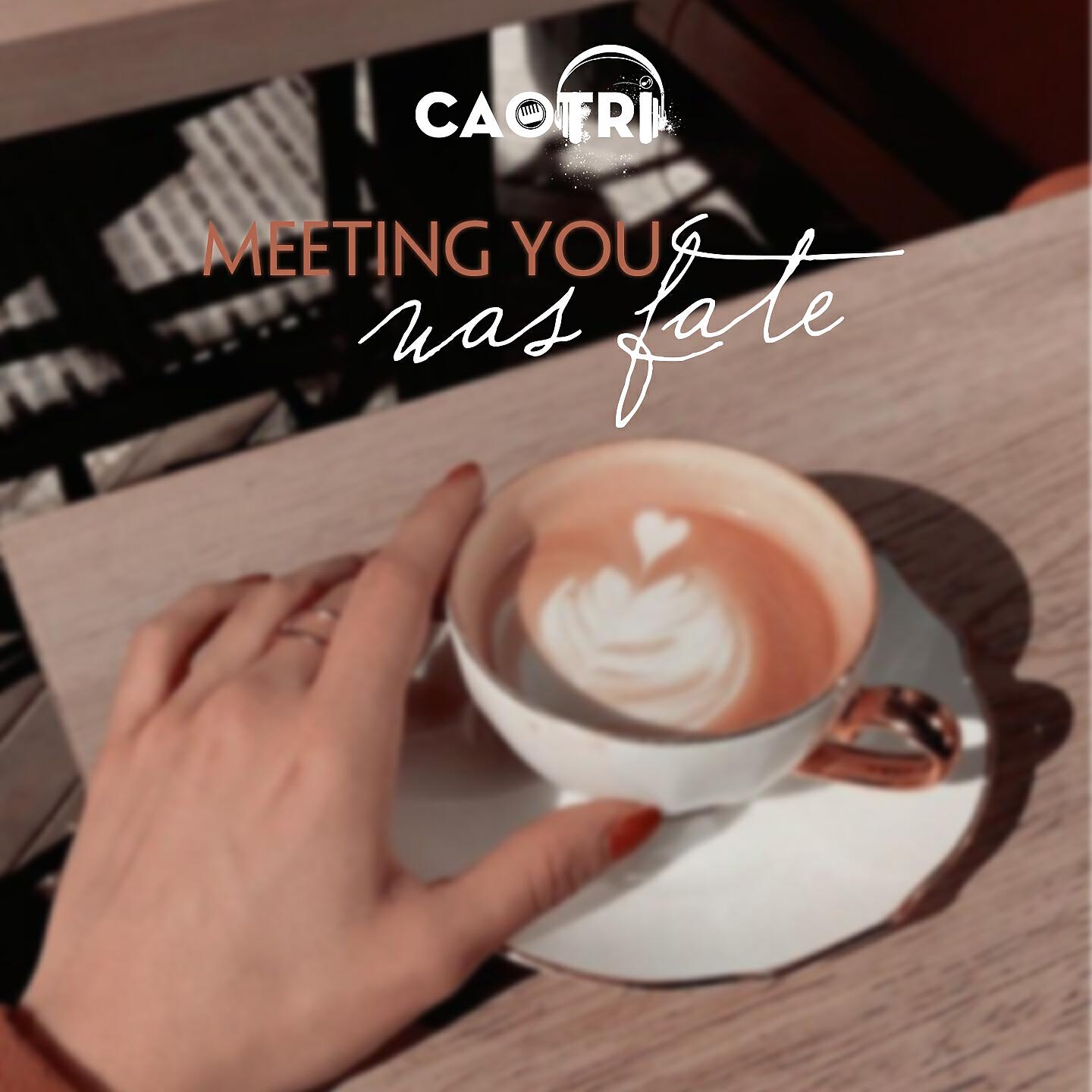 Скачать песню CaoTri - Meeting you was fate бесплатно в MP3 для Android и iOS