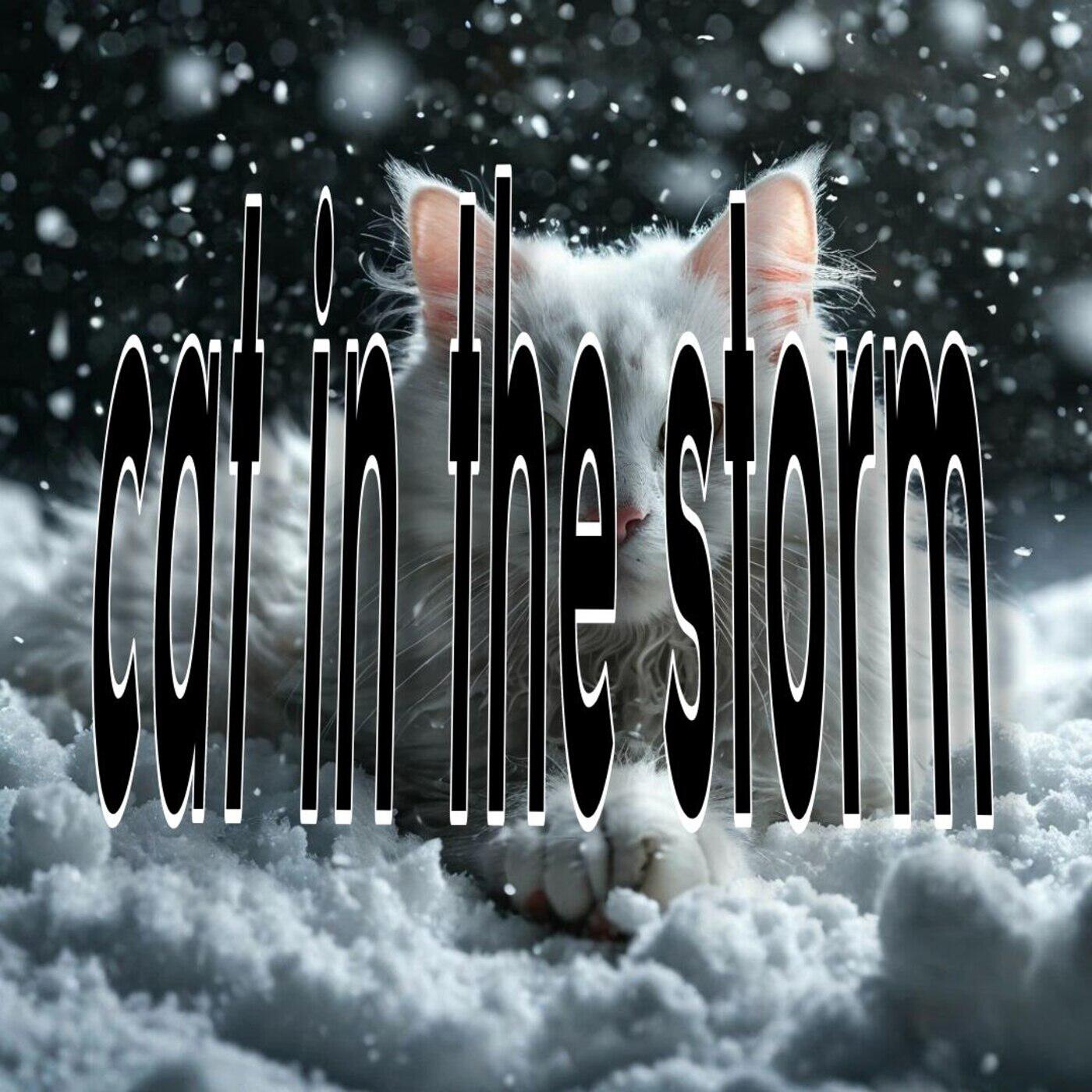 Релиз Cat in the Storm