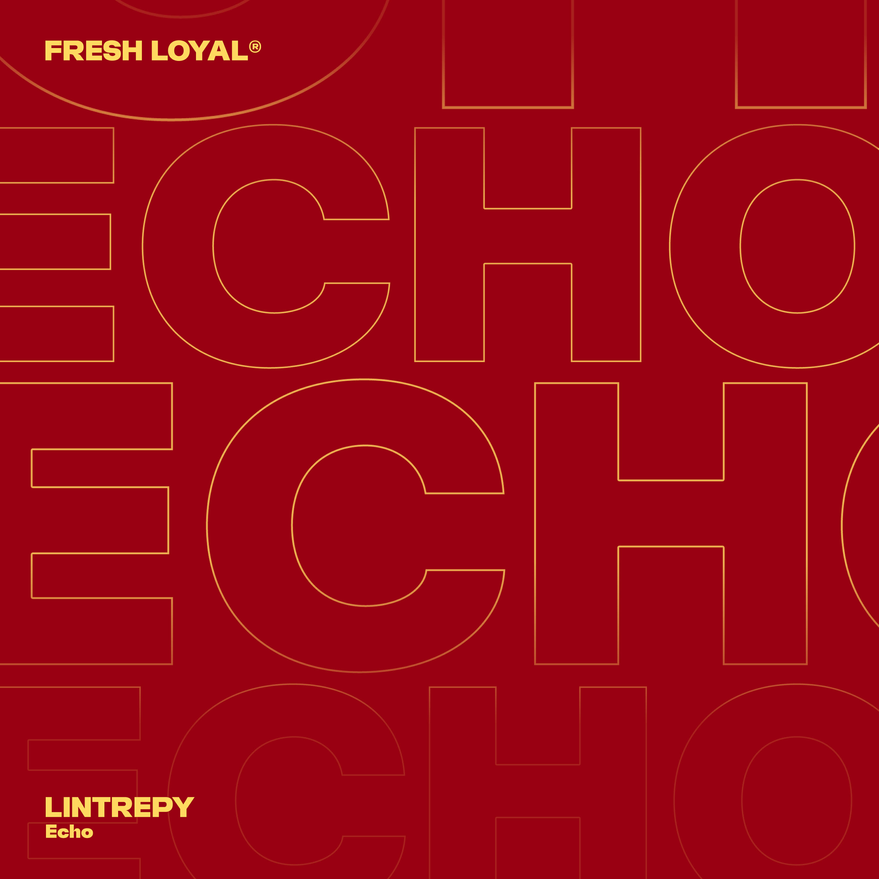 Релиз Echo