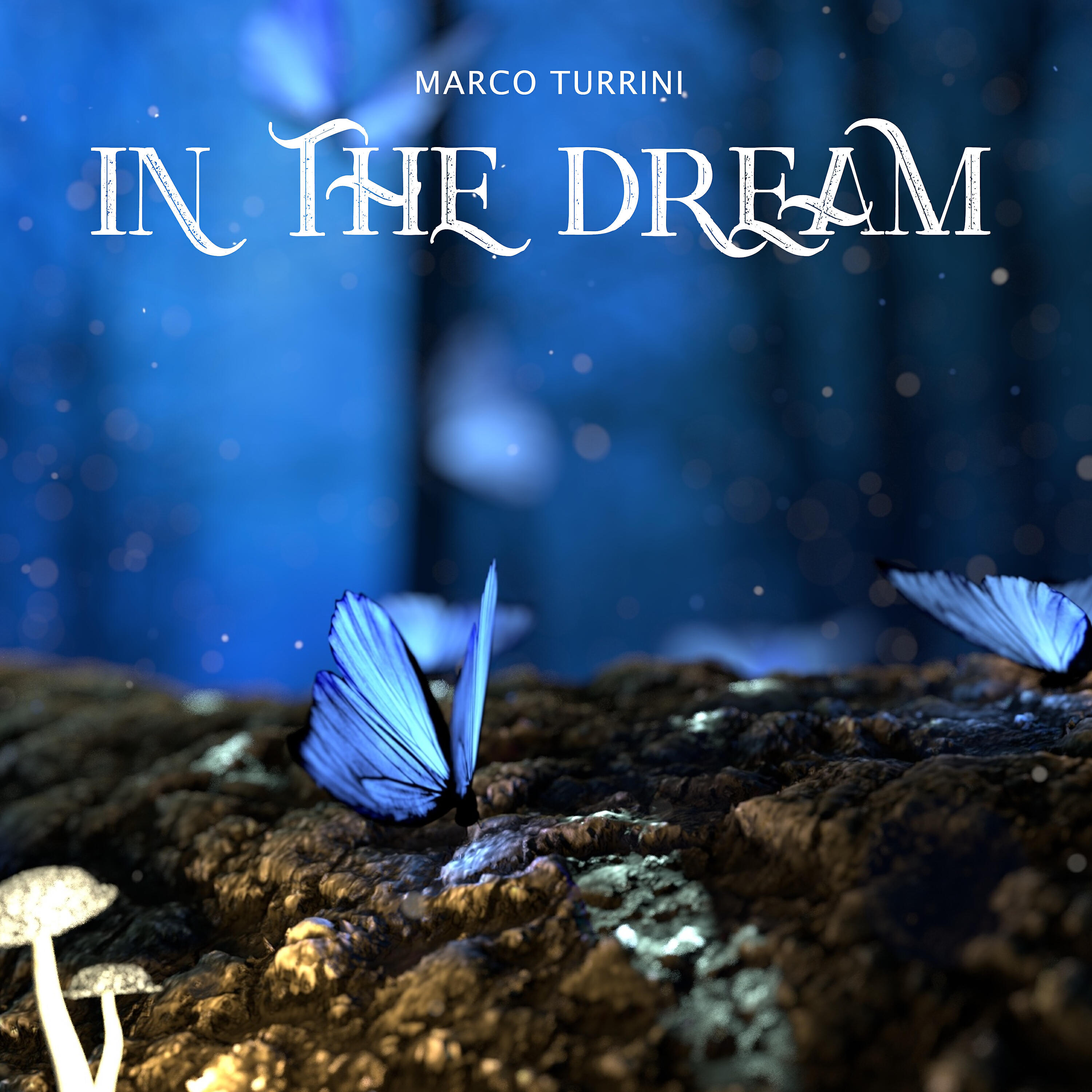Релиз In the Dream