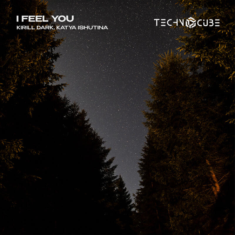 Релиз I Feel You