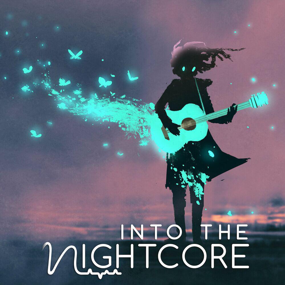 Релиз Into The Nightcore, Vol. 14