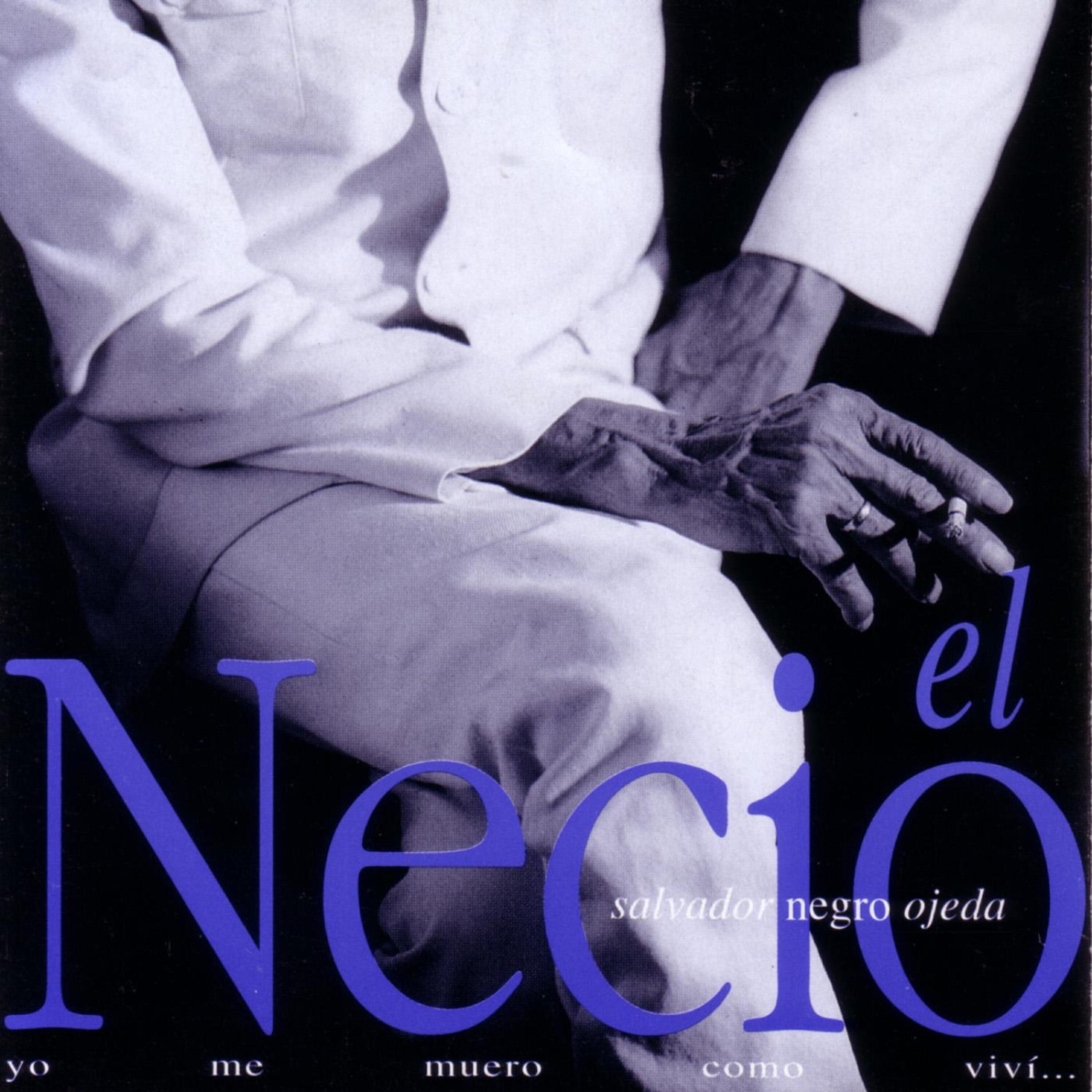 Salvador Negro Ojeda