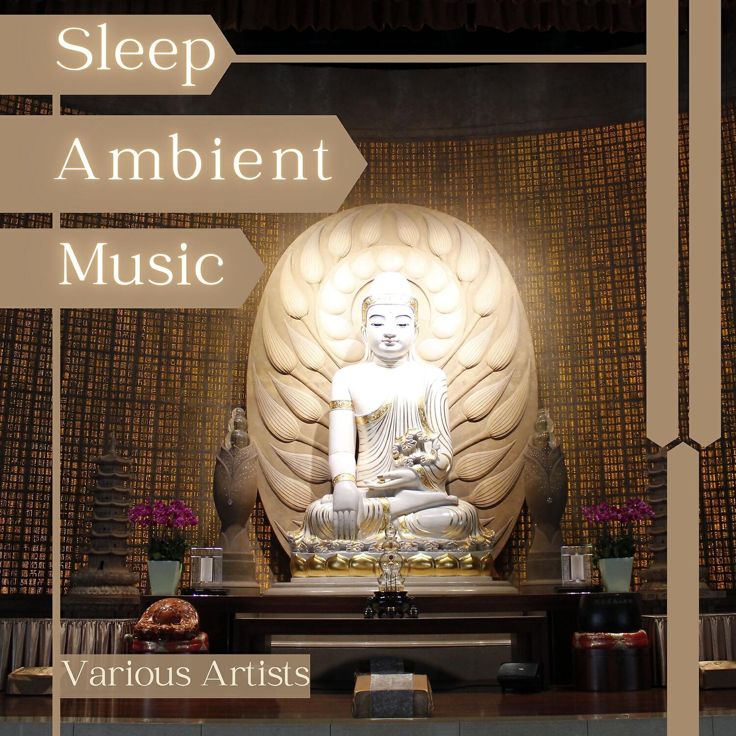 Релиз Sleep Ambient Music