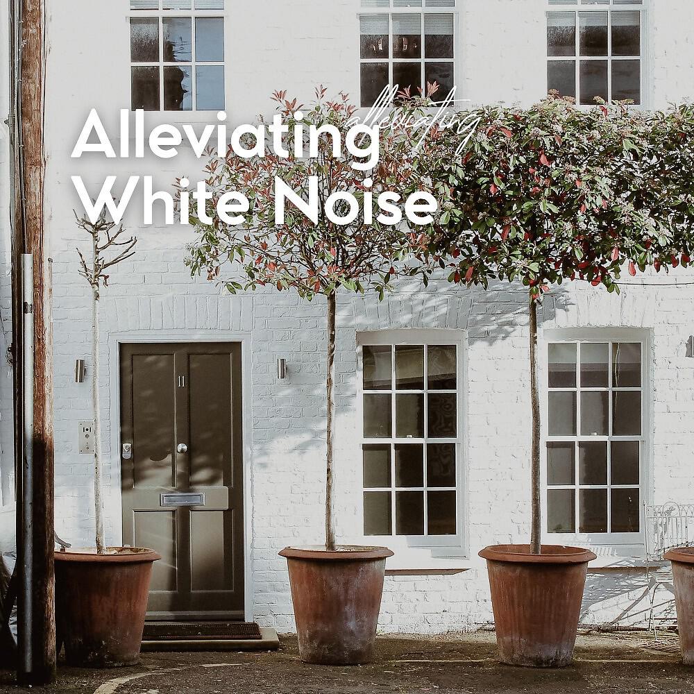 Релиз Alleviating White Noise