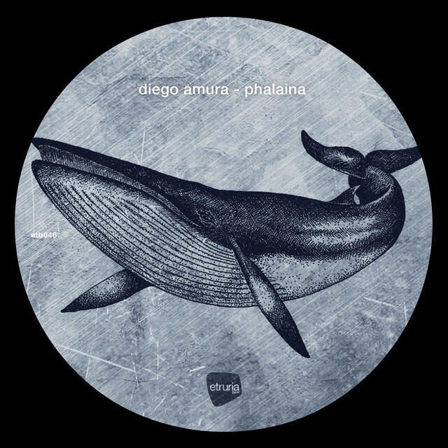 Релиз Phalaina