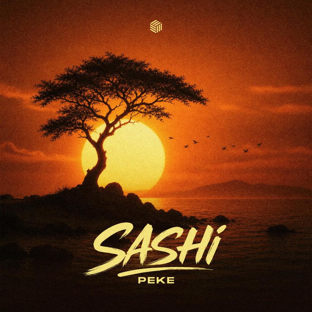 Релиз Sashi