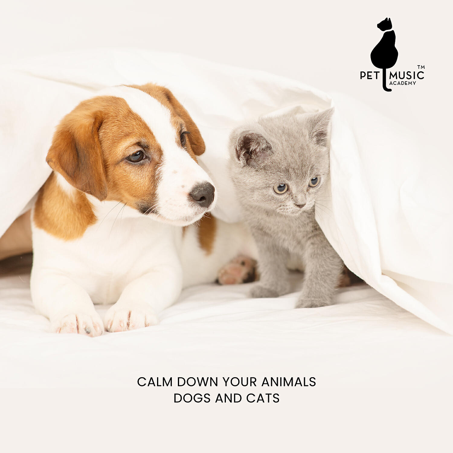 Релиз Calm Down Your Animals: Relaxing Music for Dogs and Cats, Soothing Sounds for Pets, Deep Sleep for Dog and Cat