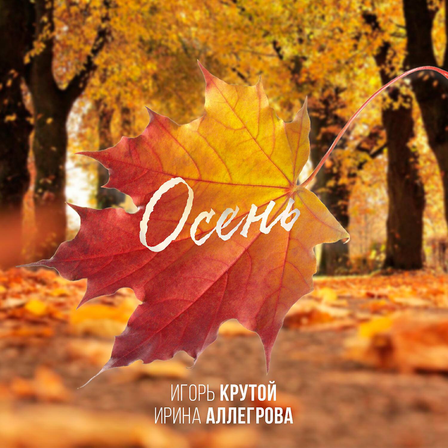 Трек Осень