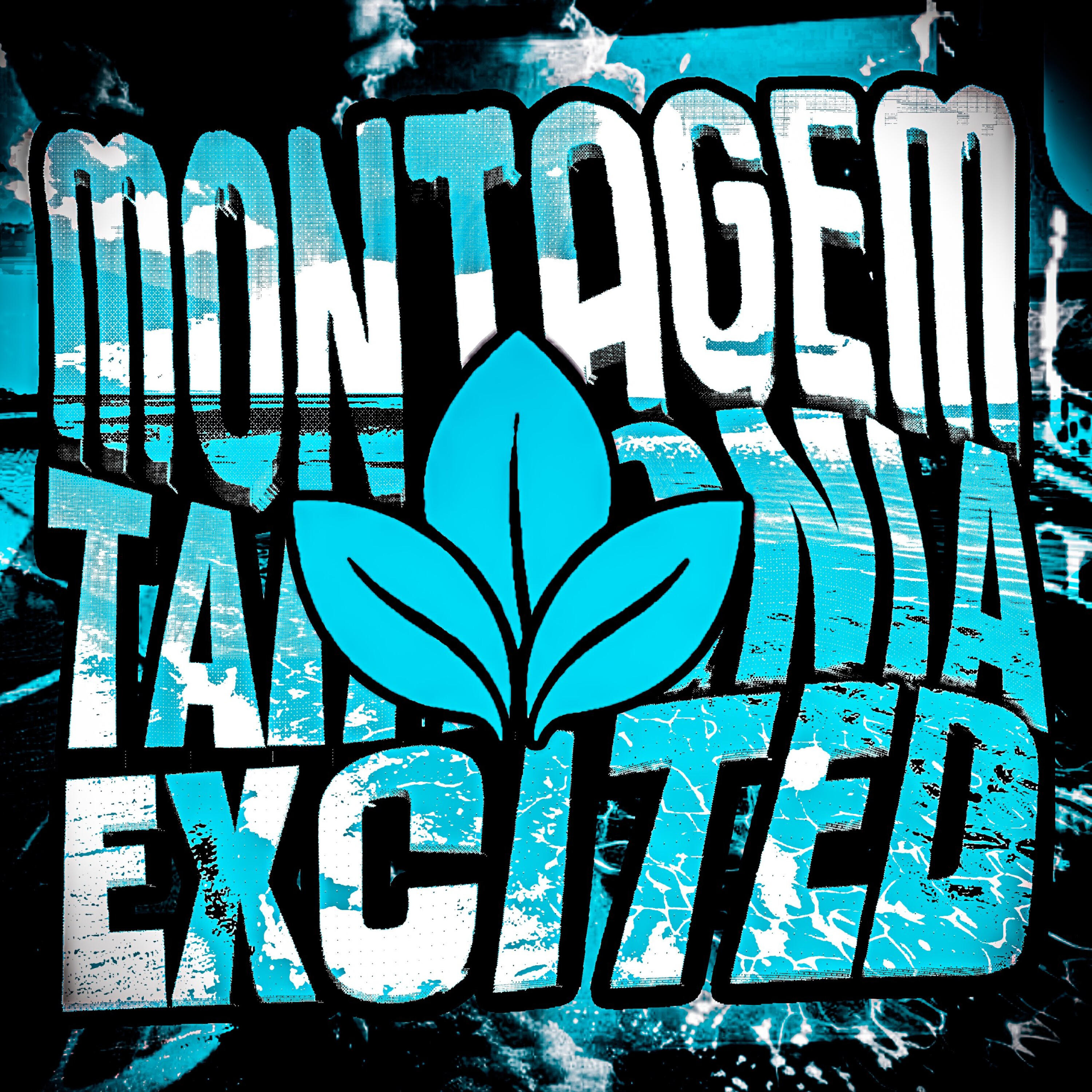 Релиз MONTAGEM TARTONIA EXCITED