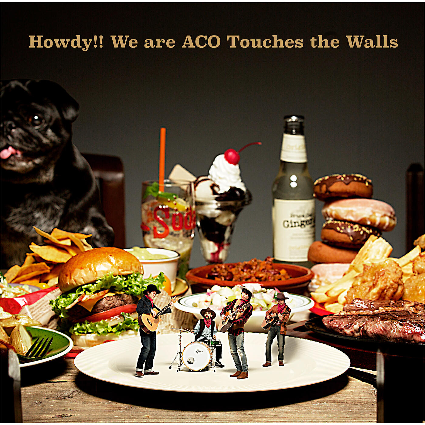 Постер альбома Howdy!! We are ACO Touches the Walls