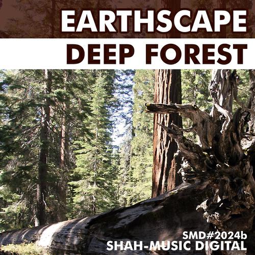 Релиз Deep Forest