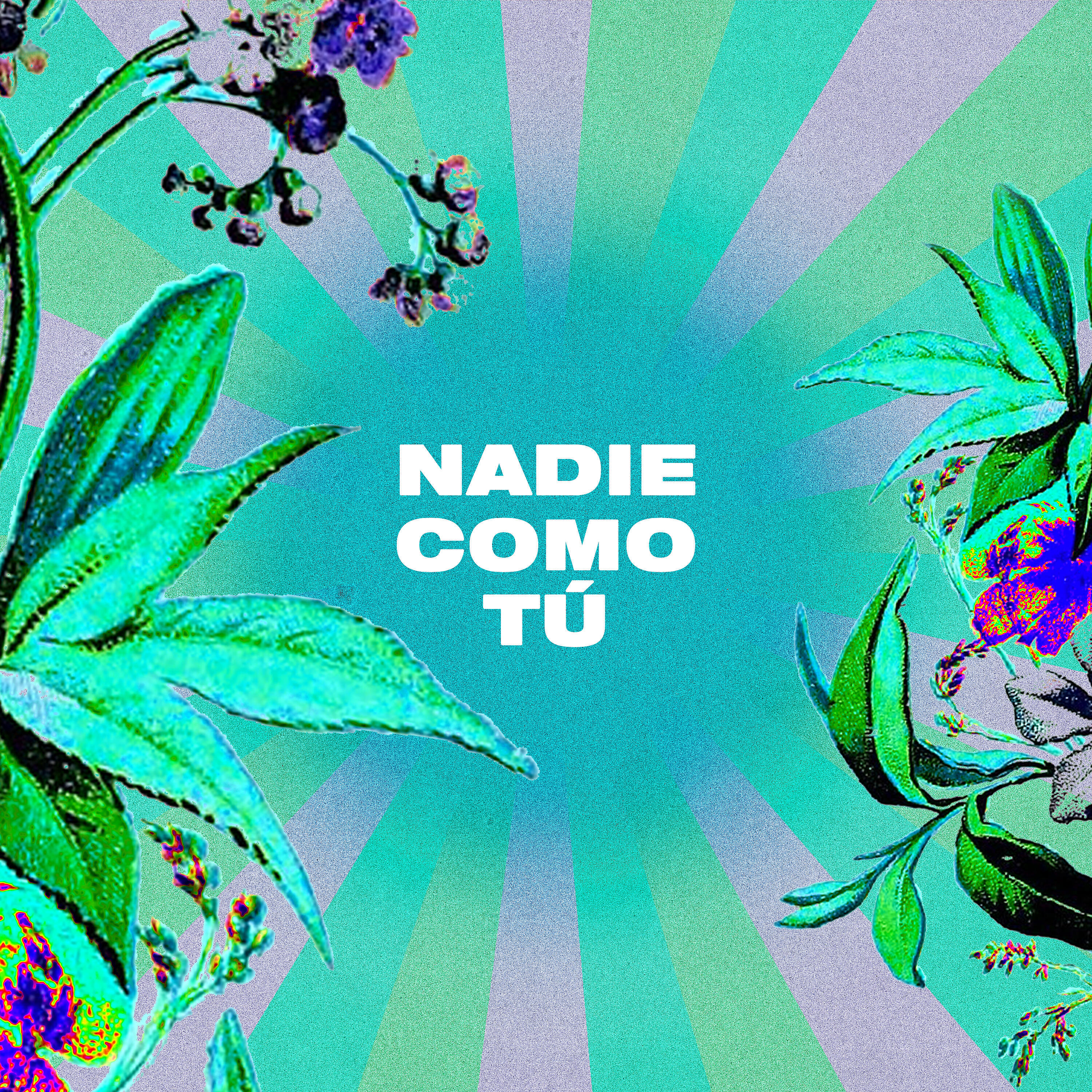 Релиз Nadie Como Tú (feat. Aaron Moses, Israel Houghton, Adrienne Houghton)