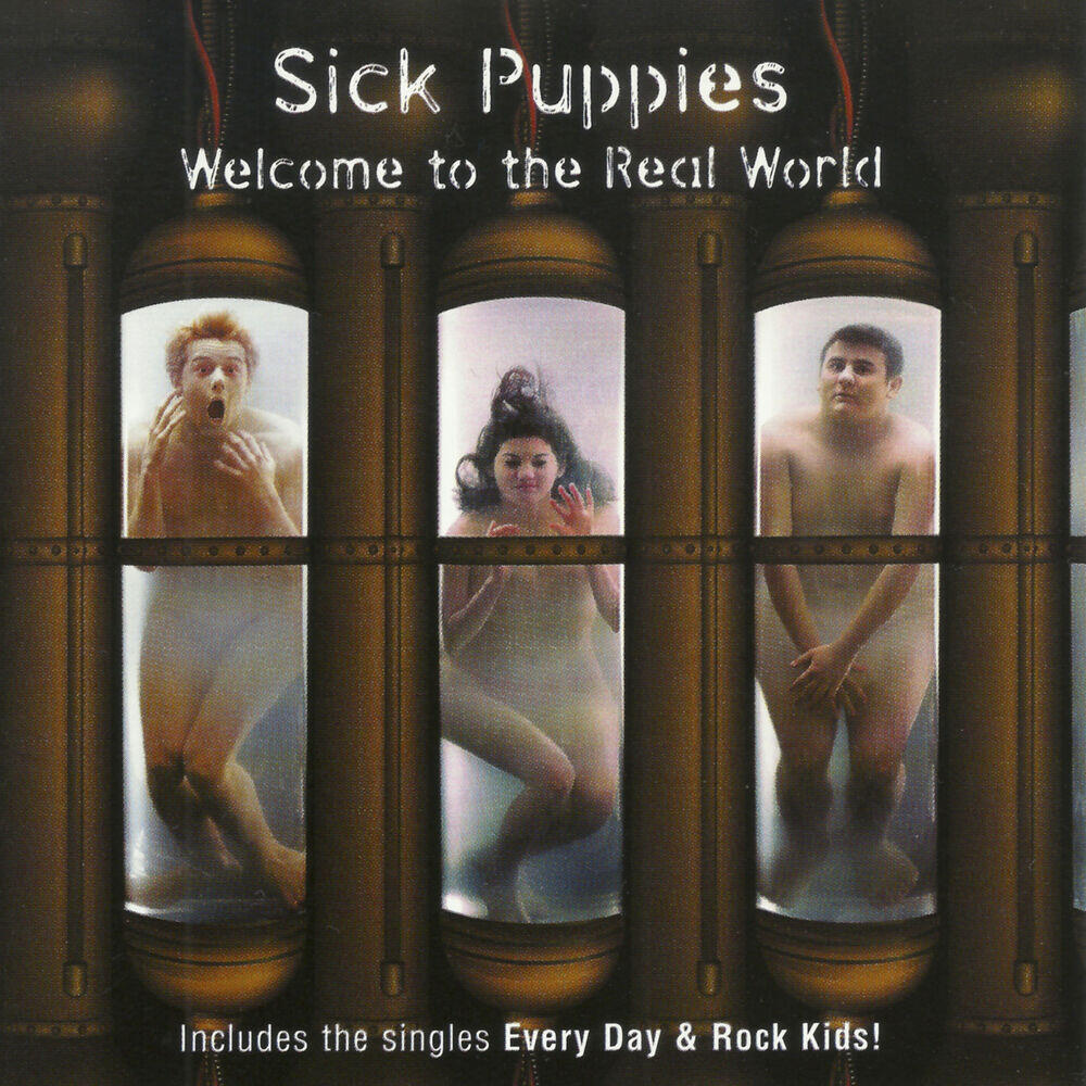 Релиз Welcome To The Real World
