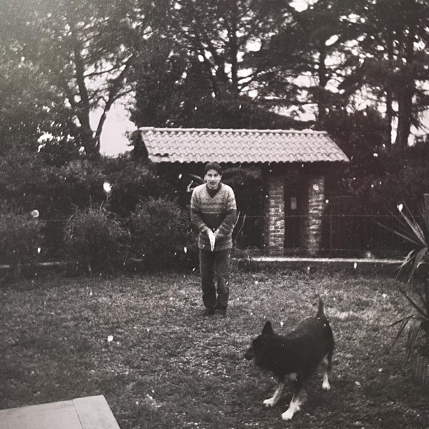 Релиз MUSICA PER NESSUNO