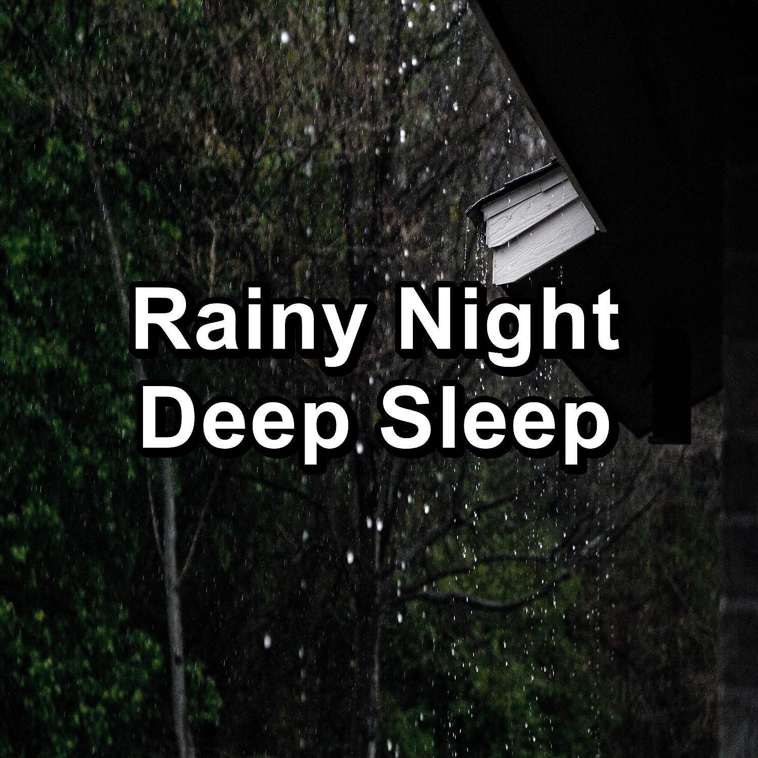 Релиз Rainy Night Deep Sleep
