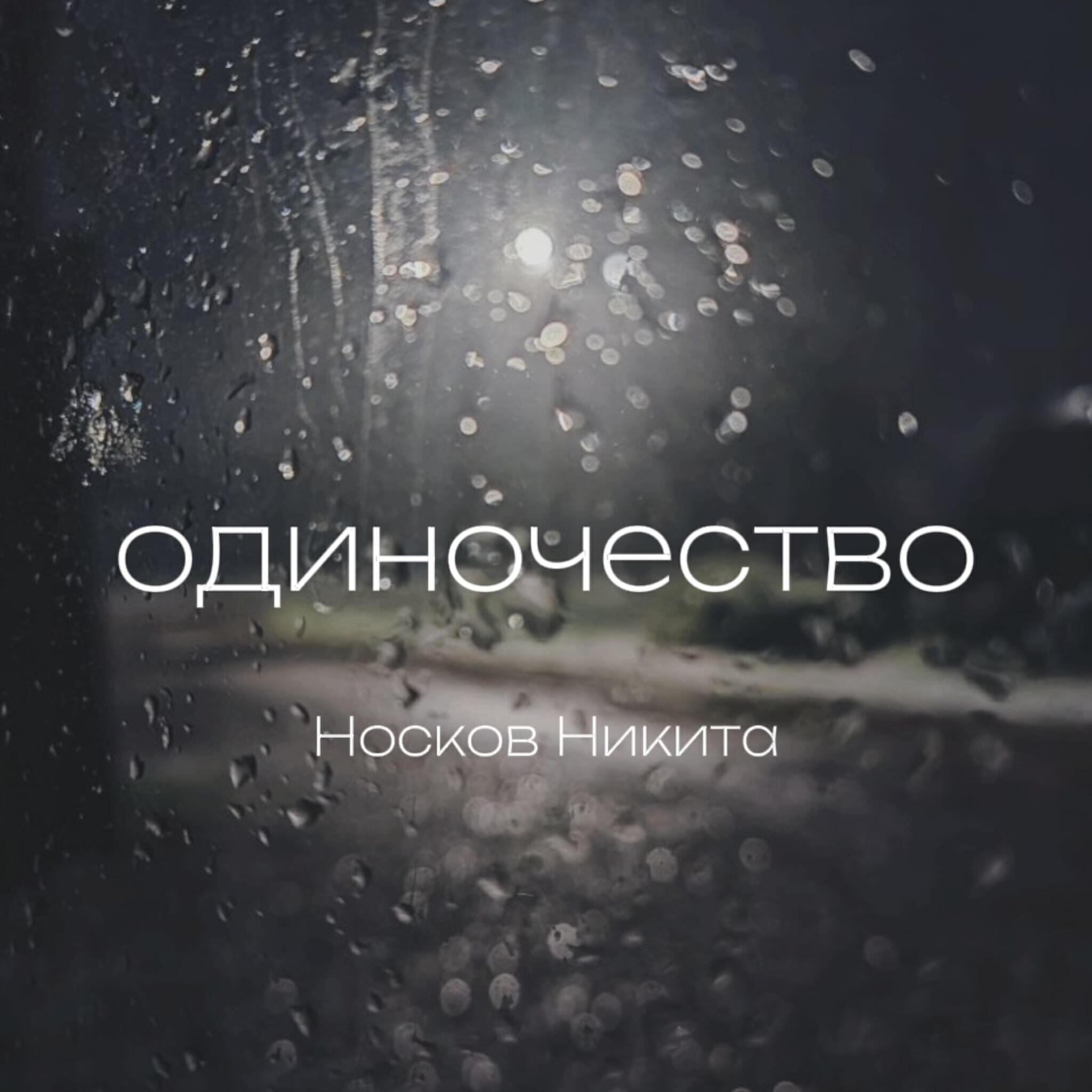 Никита Носков