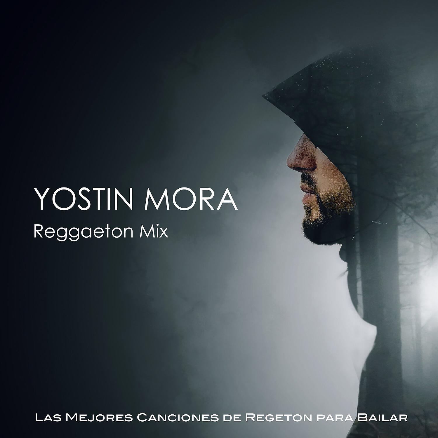 Релиз Reggaeton Mix: Las Mejores Canciones de Regeton para Bailar