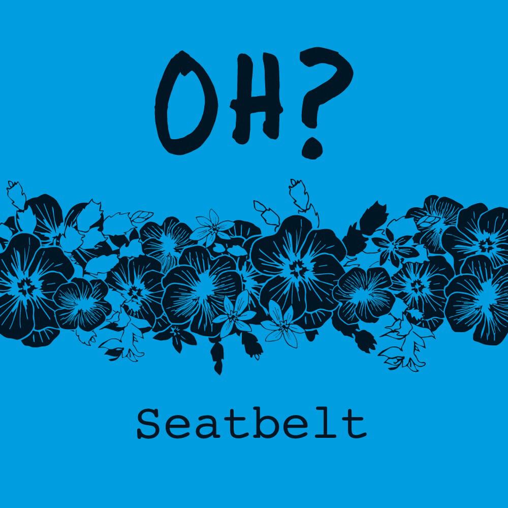 Релиз Seatbelt