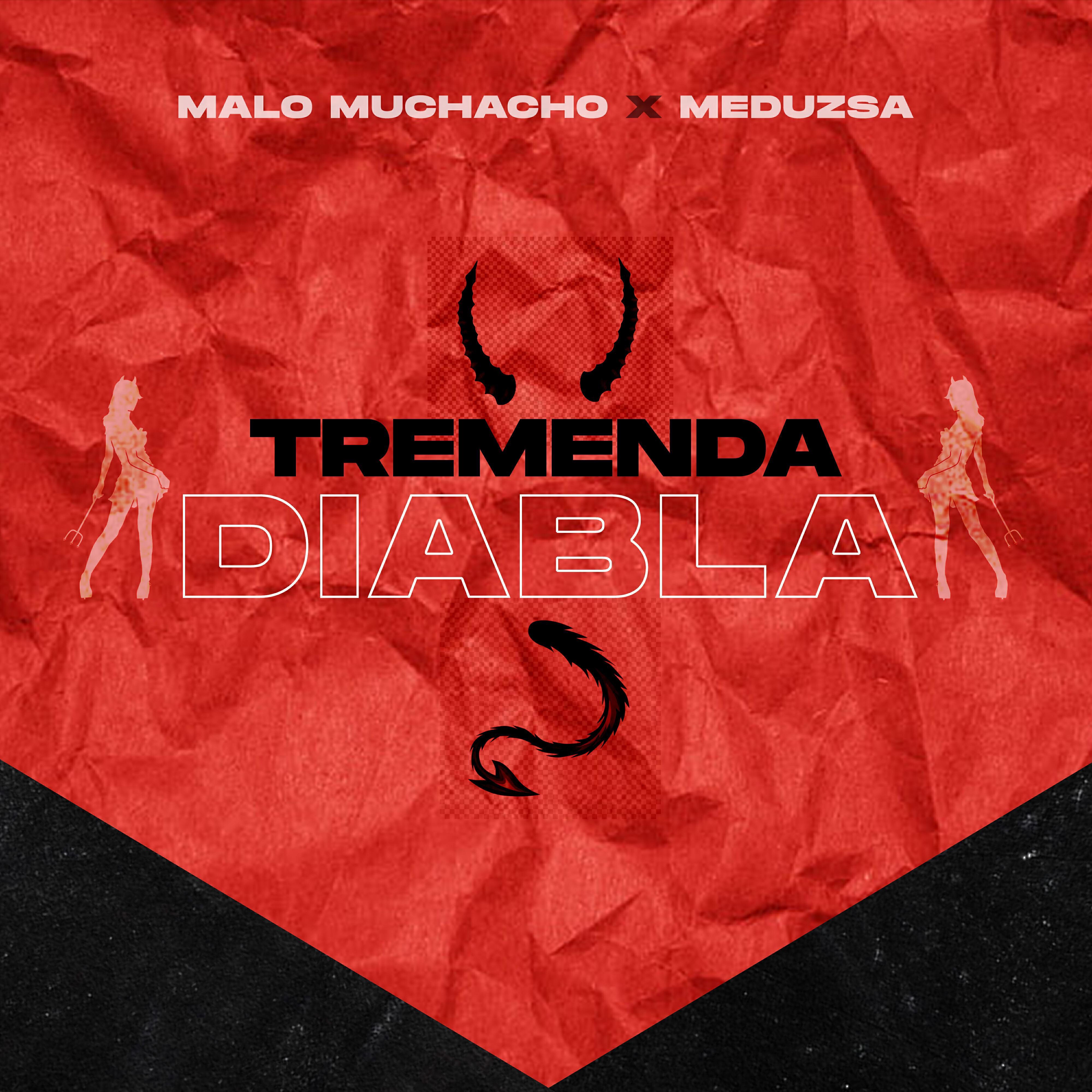 meduzsa