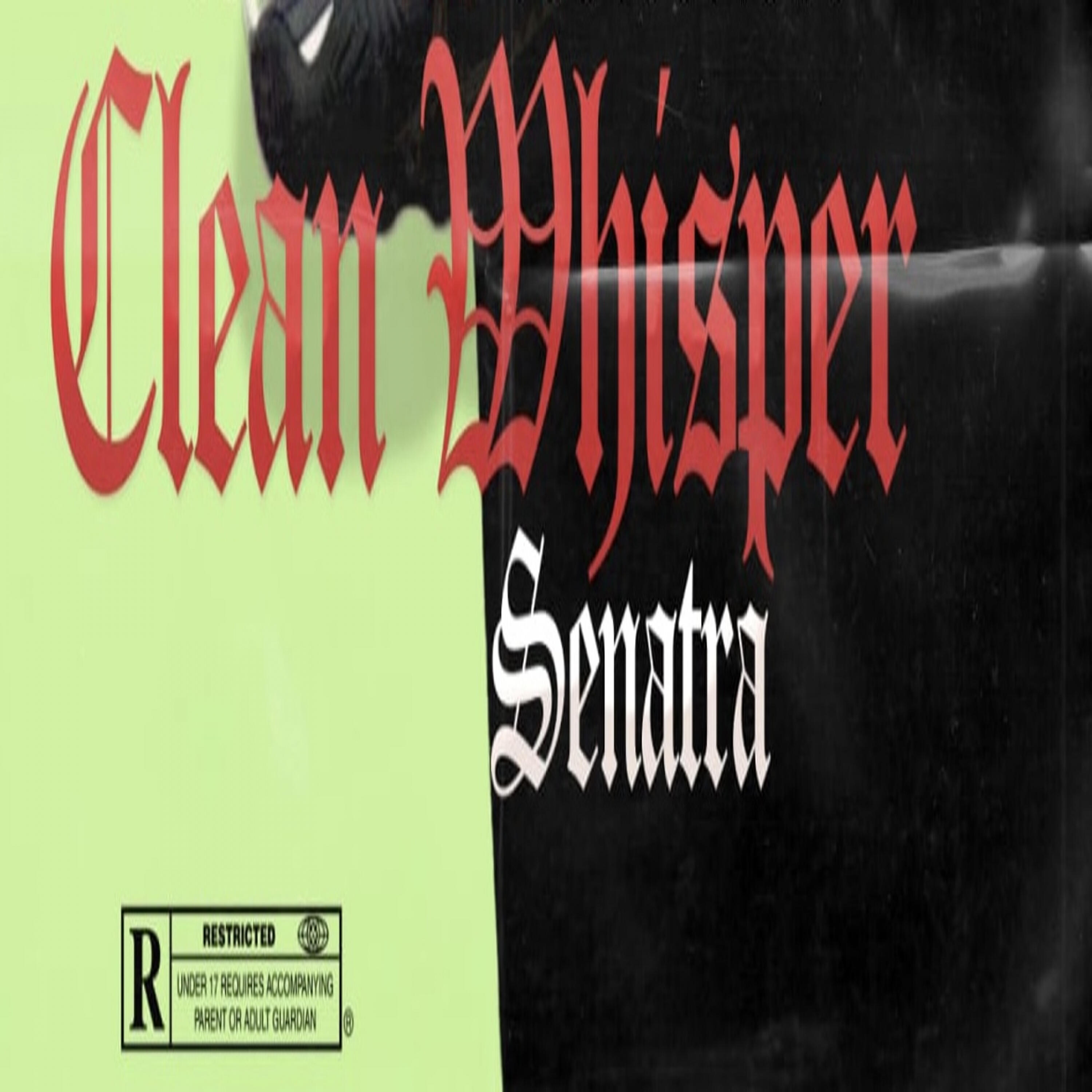 Релиз Clean Whisper