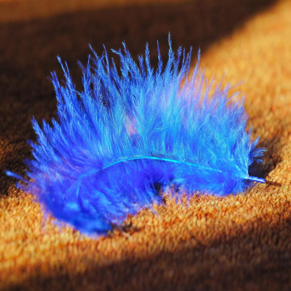 Релиз Feathers