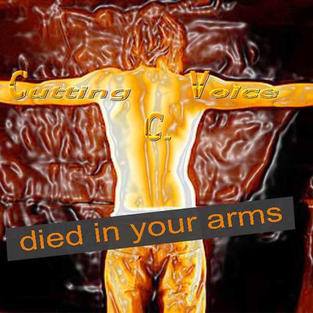 Релиз Died in Your Arms