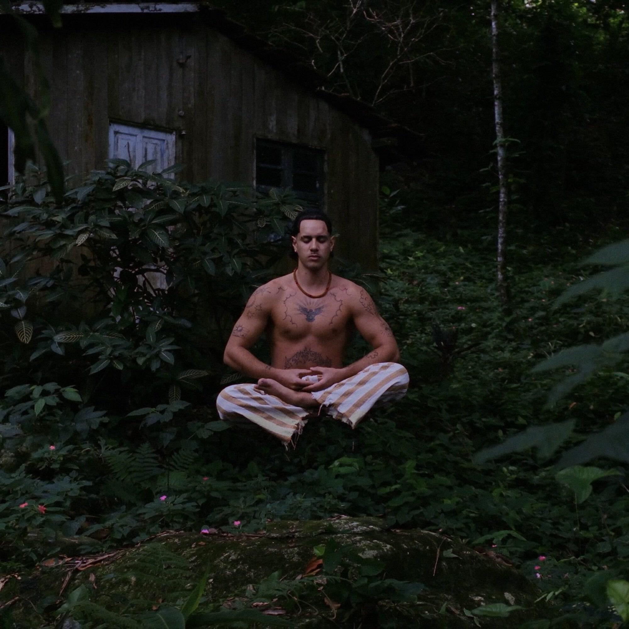 Релиз Zen