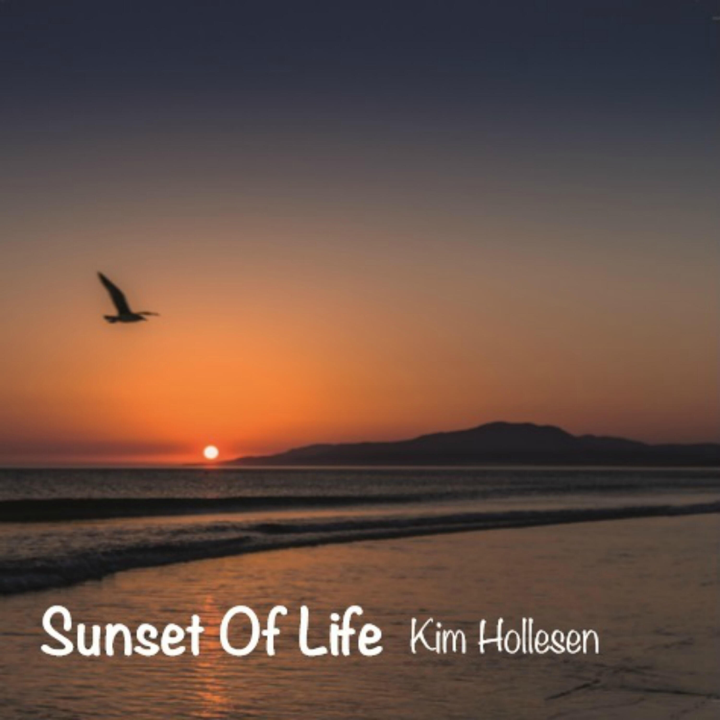 Релиз Sunset of Life