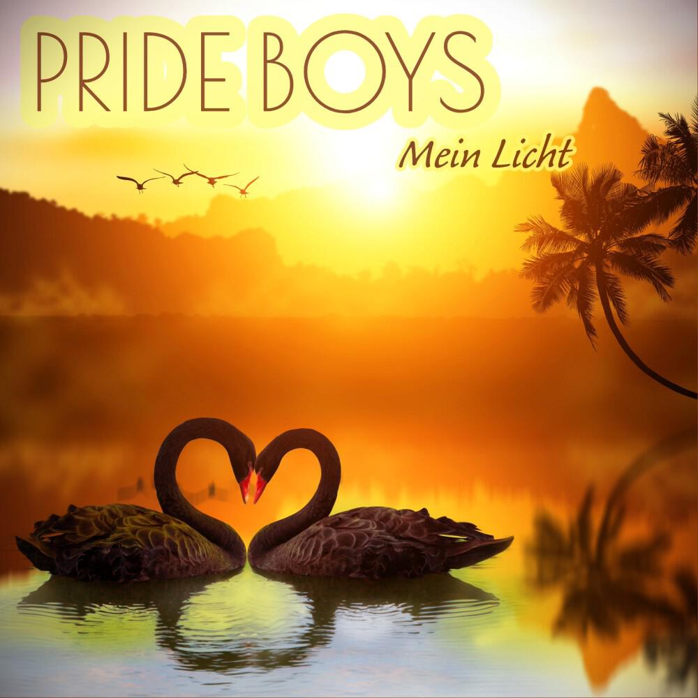 Релиз Mein Licht (Radiocut)
