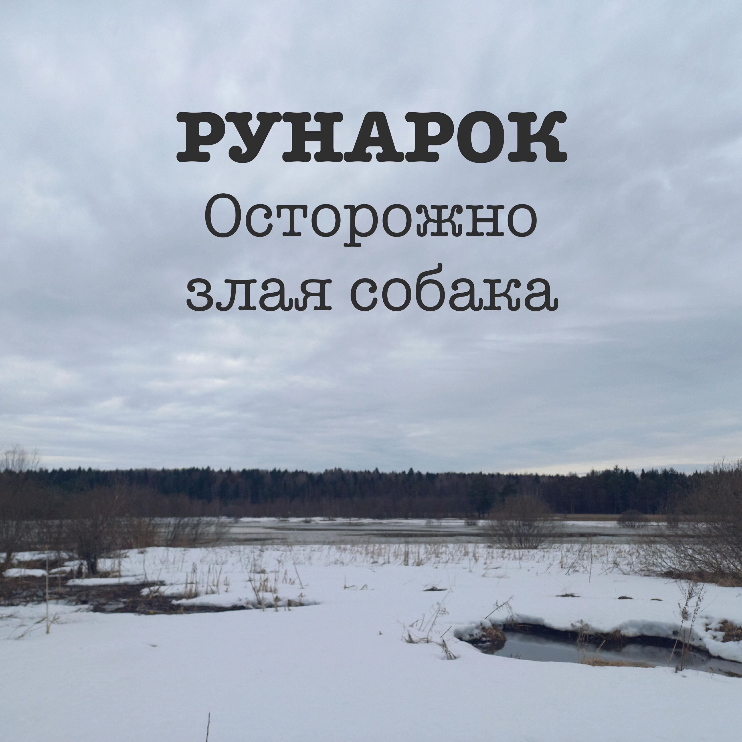 Релиз Осторожно злая собака