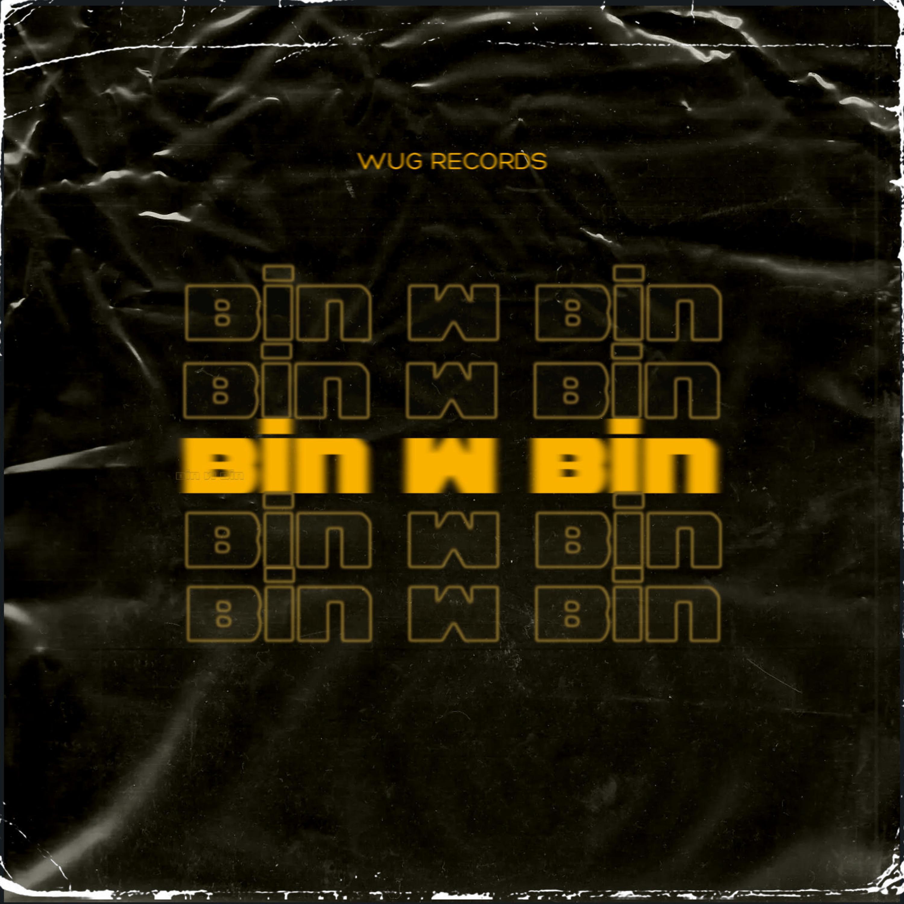 Релиз Bin w Bin